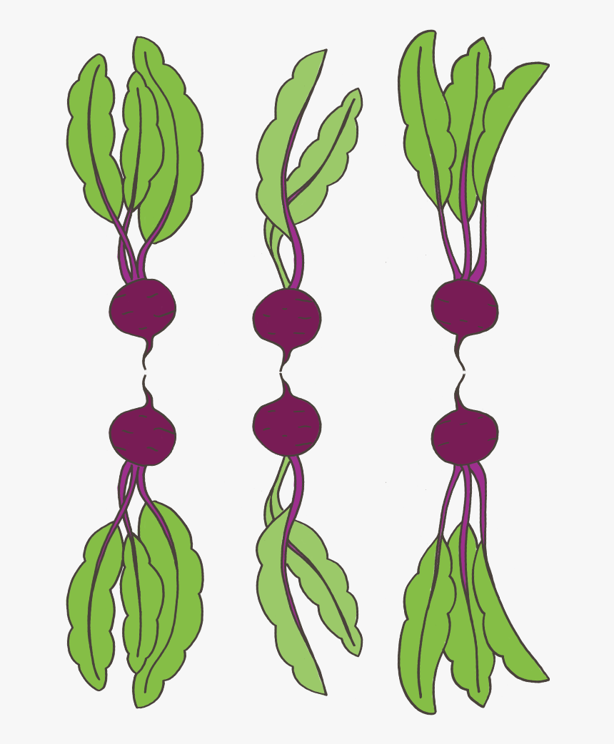 Clip Art, HD Png Download