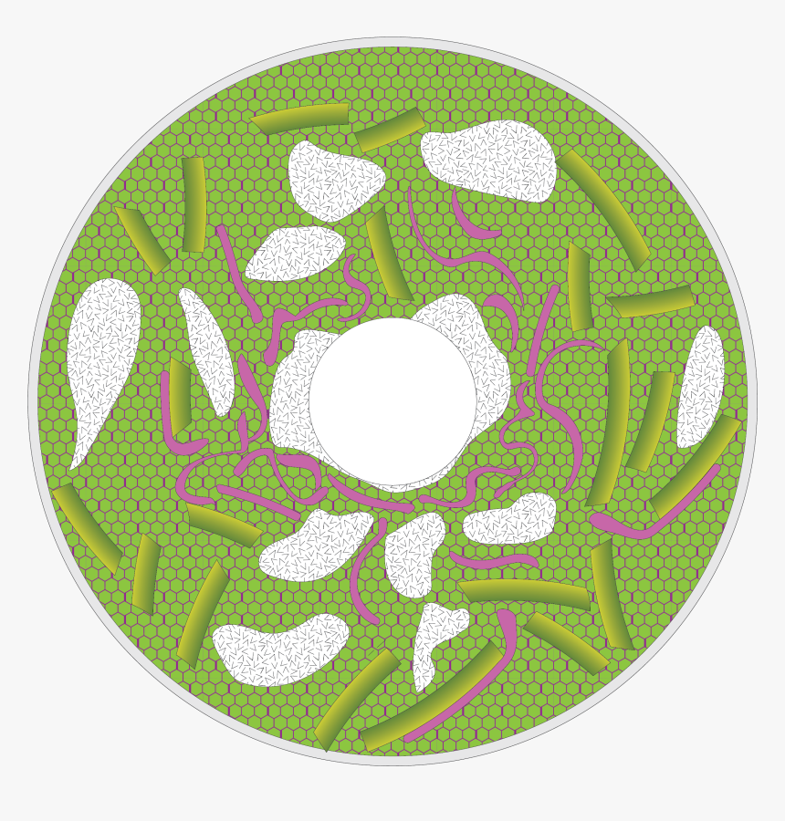 Channel Network - Circle, HD Png Download