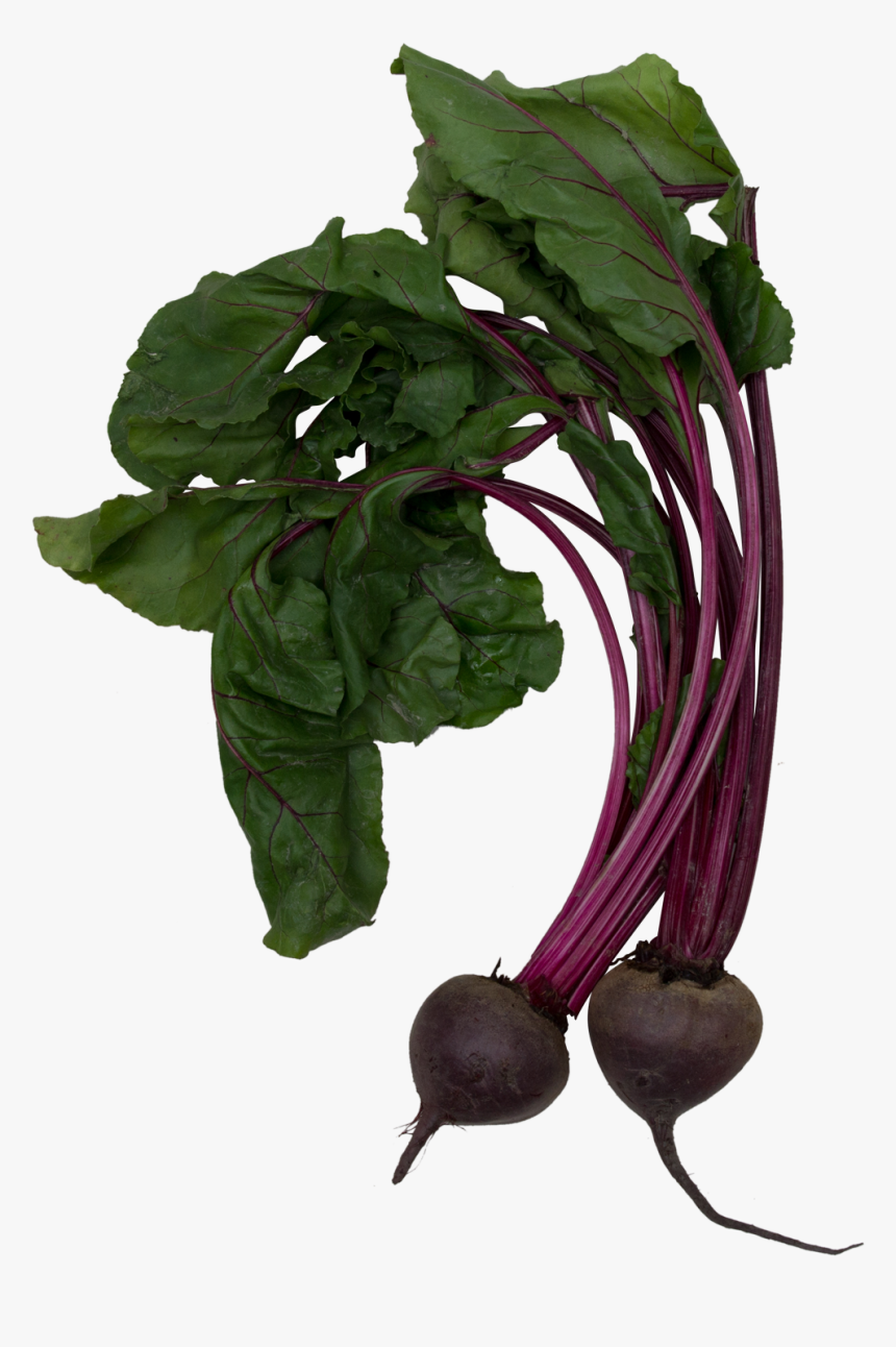 The Grove Juice Truck - Beet Greens, HD Png Download