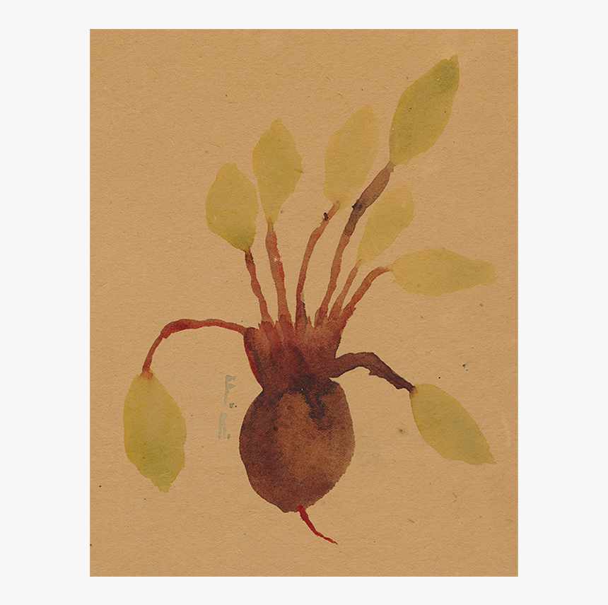 Beets Png, Transparent Png