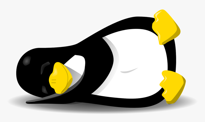 Penguin Sleeping Png, Transparent Png
