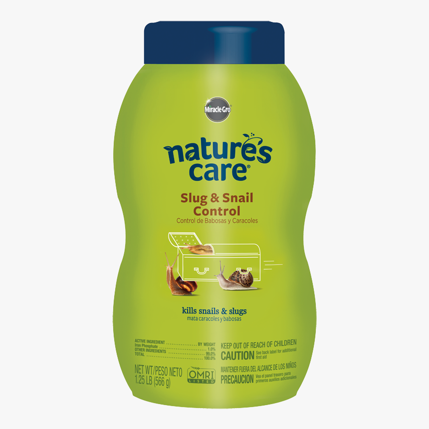 Domestic Short-haired Cat, HD Png Download