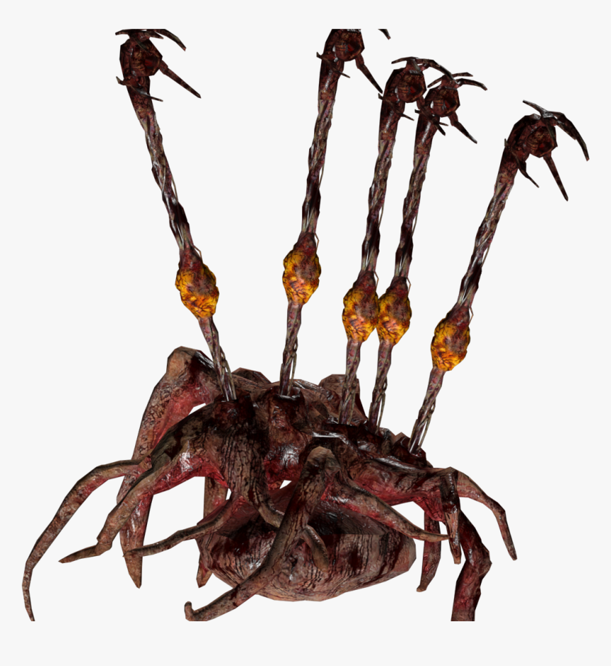 Crab, HD Png Download