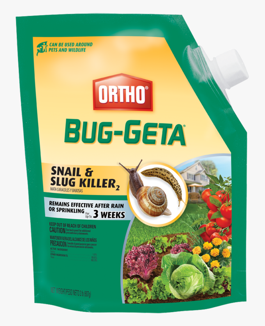 Ortho Bug Geta, HD Png Download