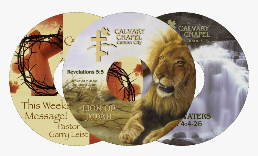Calvary Chapel Cds - Masai Lion, HD Png Download
