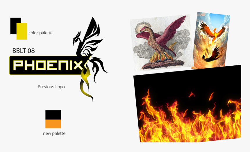 Falconiformes, HD Png Download