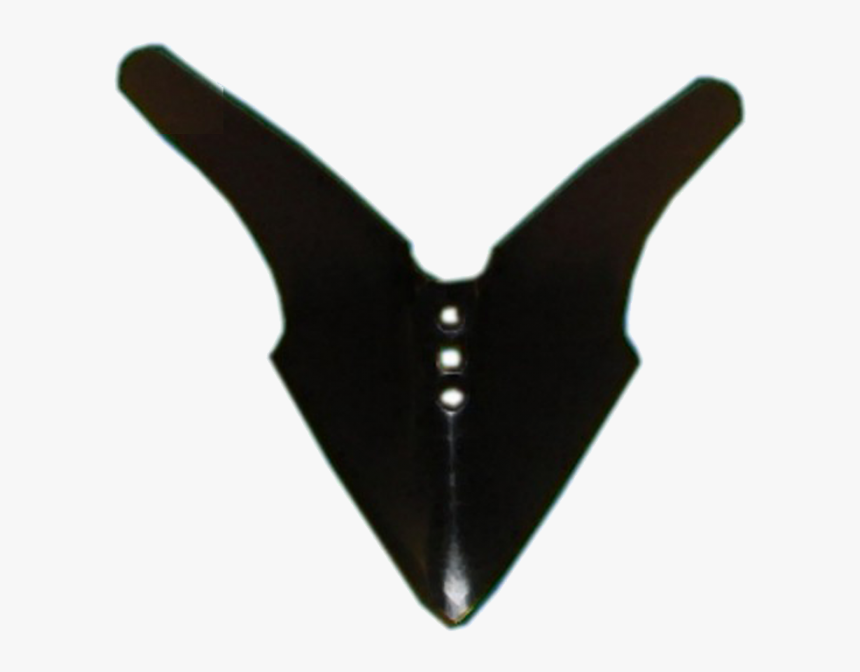 Bird, HD Png Download