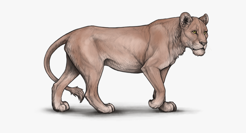 Lioden Elysian Base, HD Png Download