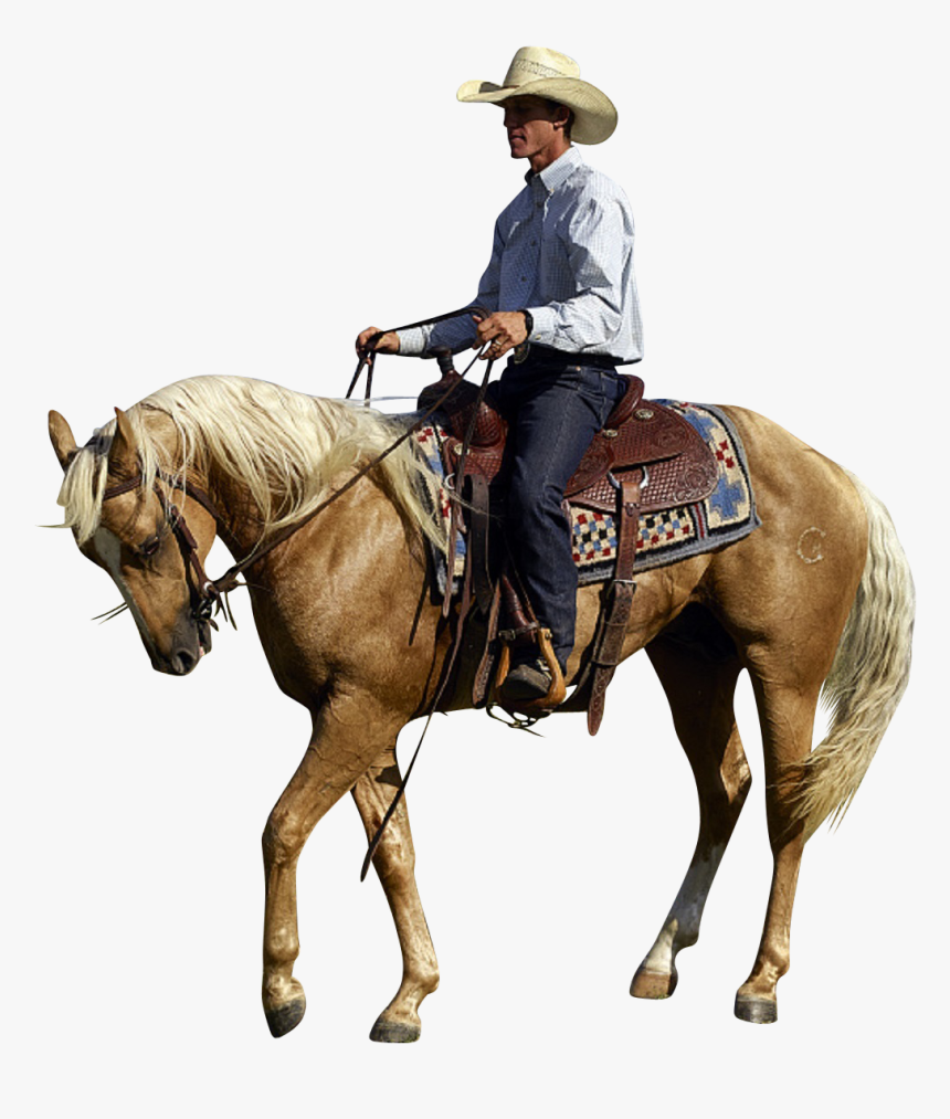 Stallion, HD Png Download