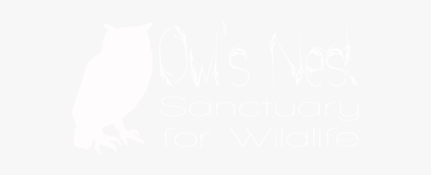 Owls Nest Sanctuary, HD Png Download