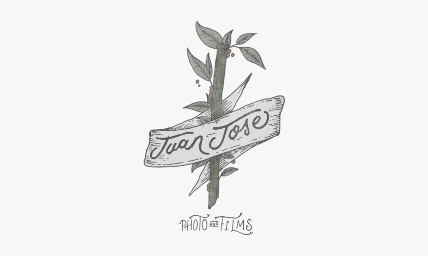 Logo 02-01 Copy, HD Png Download