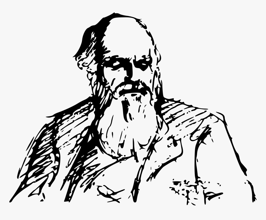 Charles Darwin Drawing Sketch - Charles Darwin Clipart Png, Transparent Png