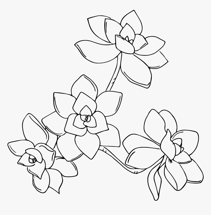 Line Art, HD Png Download