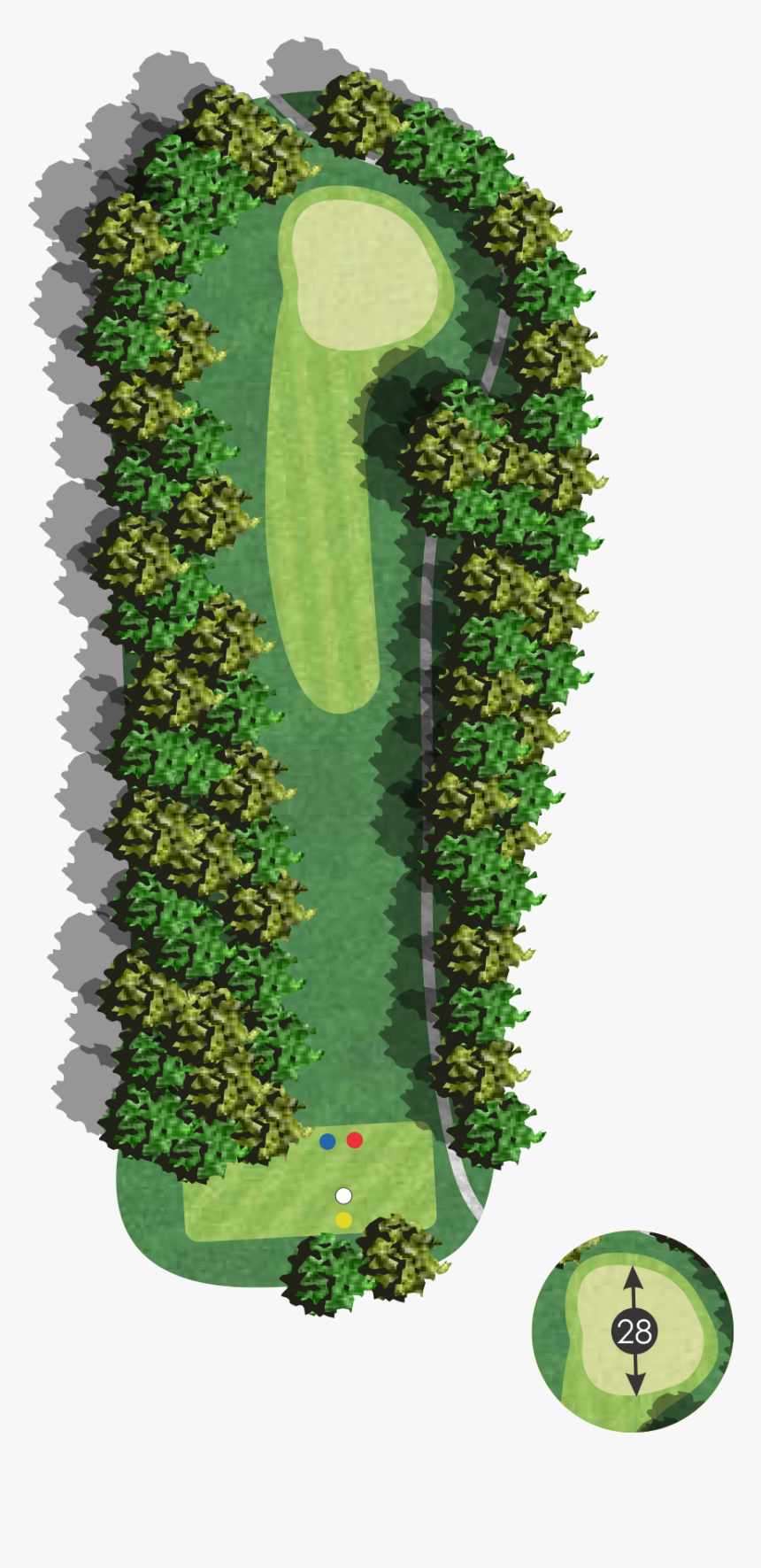 Birch Png, Transparent Png