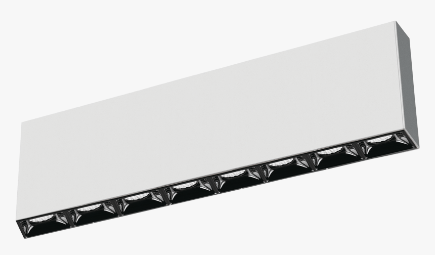 Levi Png, Transparent Png