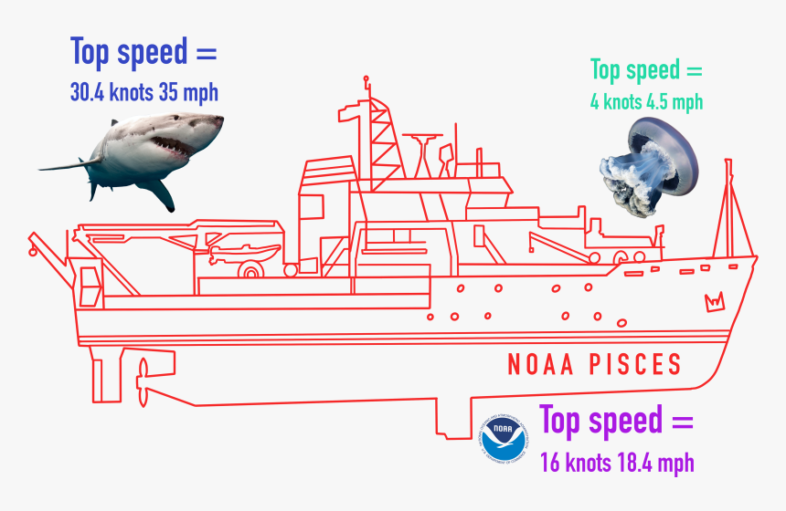 Diagram, HD Png Download