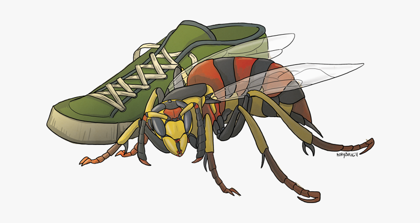 Wasp Png, Transparent Png