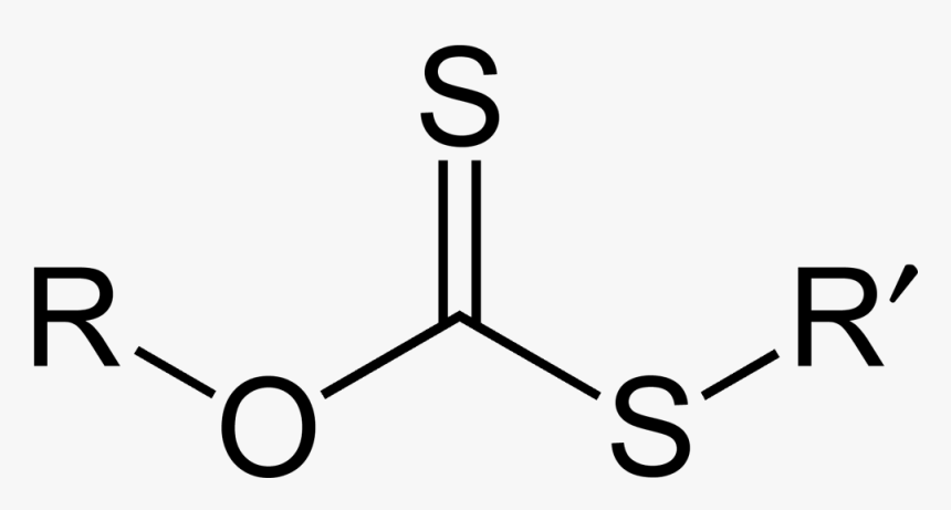 Xanthate Ester 2d General - Xanthate Structure, HD Png Download