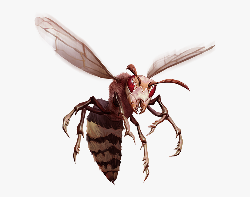 Bee, HD Png Download