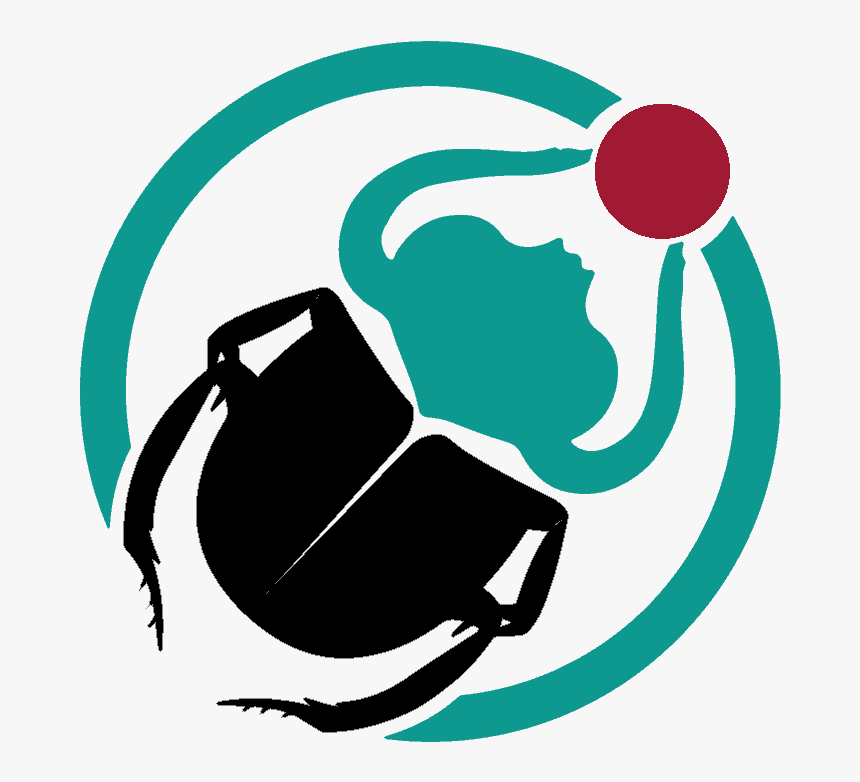 Zillow To Start Purchasing, Offering Houses In Dallas - Illustration, HD Png Download