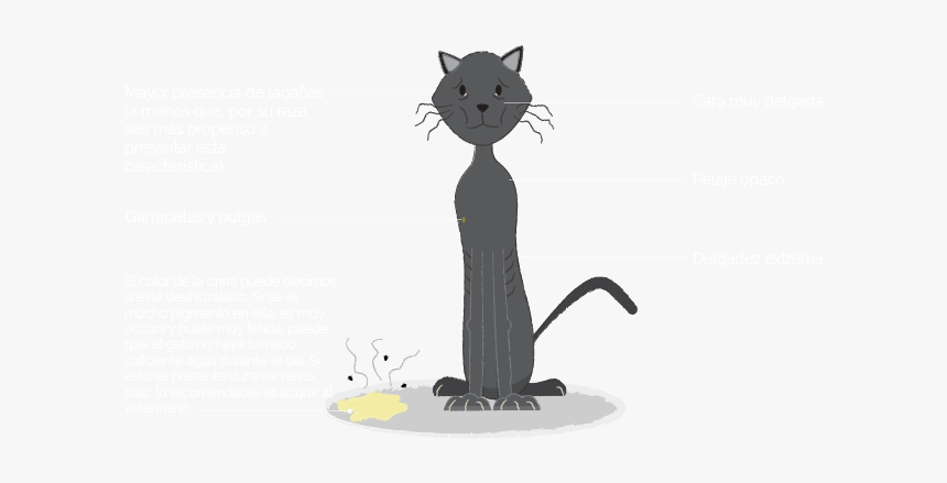 Illustration, HD Png Download