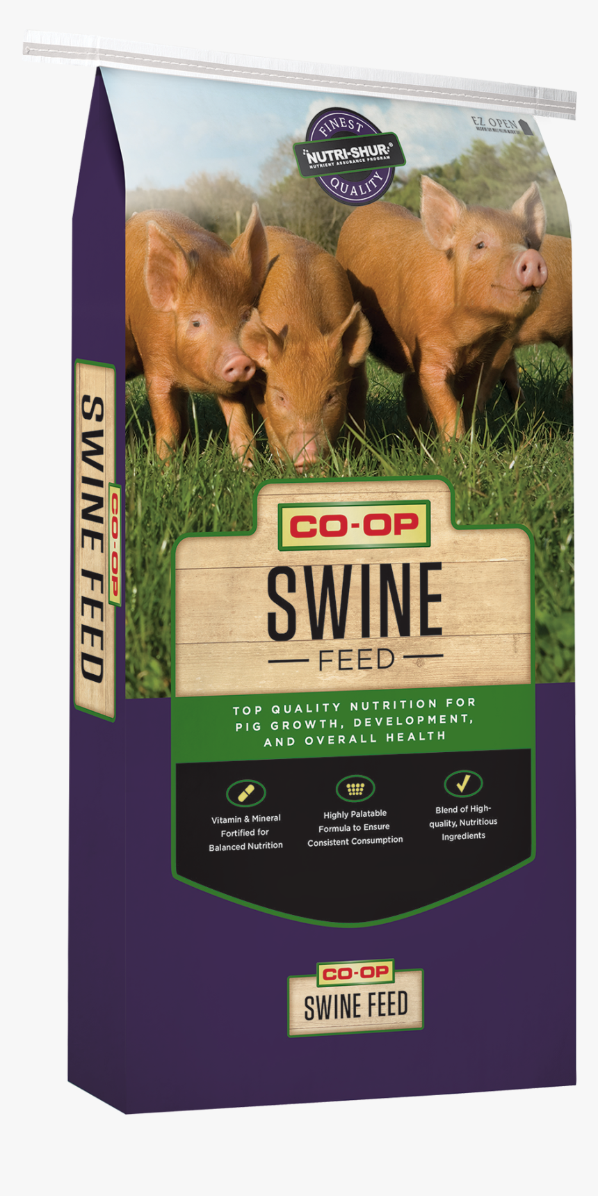Domestic Pig, HD Png Download
