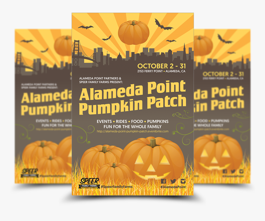 Pumpkin Patch The Client Asked For A Fun And Festive - Jack-o'-lantern, HD Png Download