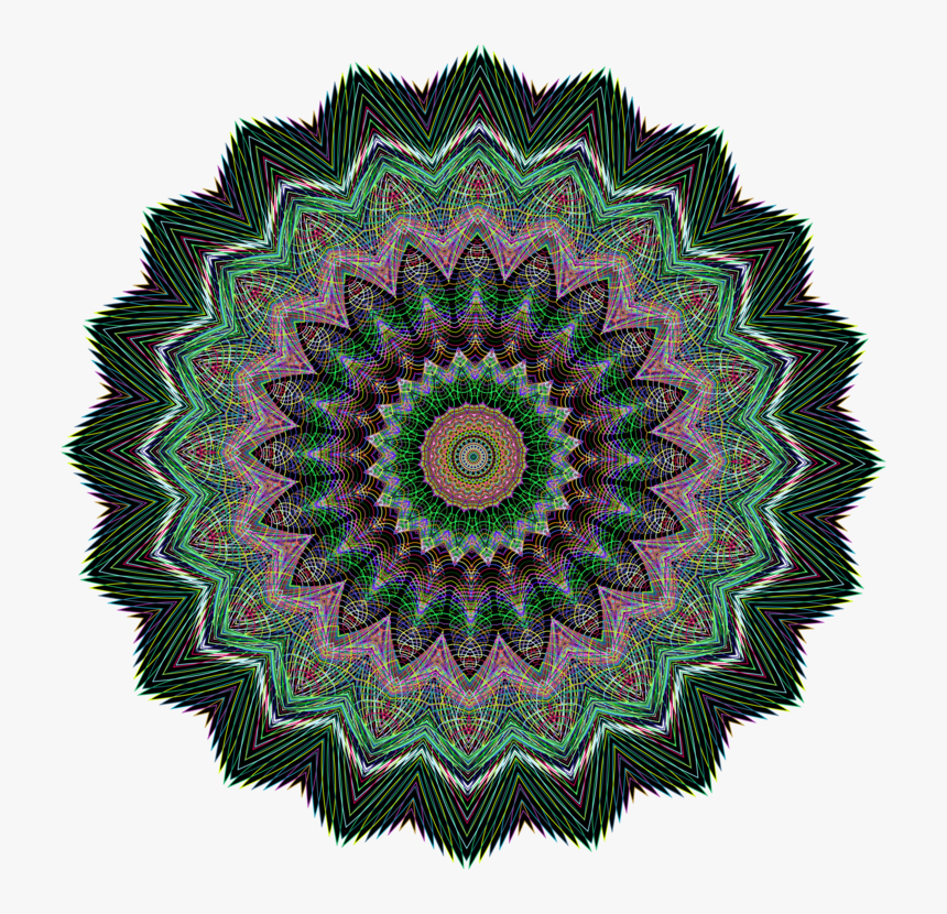 Symmetry,circle,organism - Round Badges Vector, HD Png Download