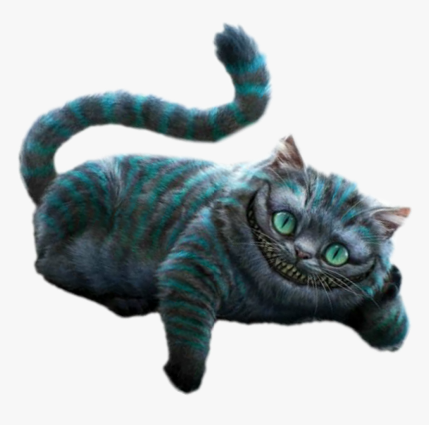 #sonriente #gato - Cat Yawns, HD Png Download