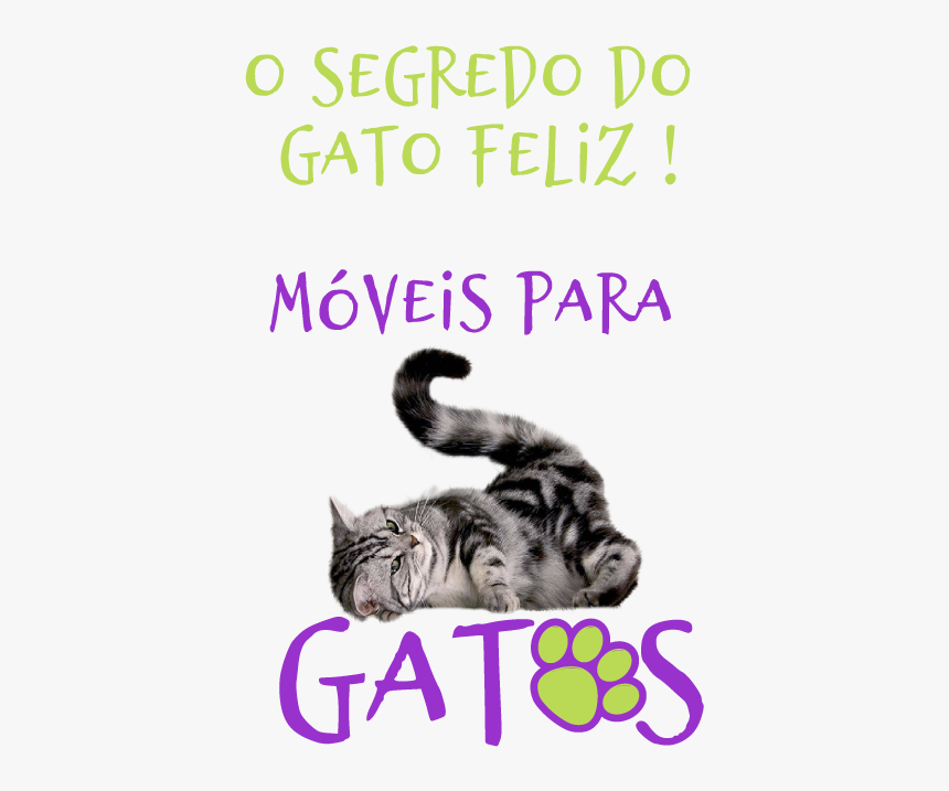 Cat Grabs Treat, HD Png Download