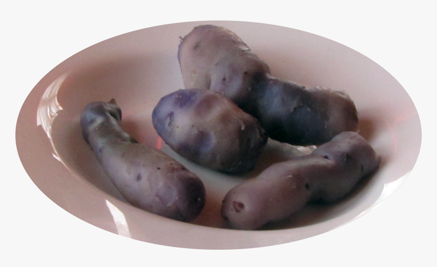 Plato De Papas Azules Hervidas - Fingerling Potato, HD Png Download