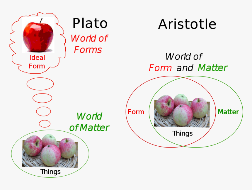 Aristotle Forms, HD Png Download