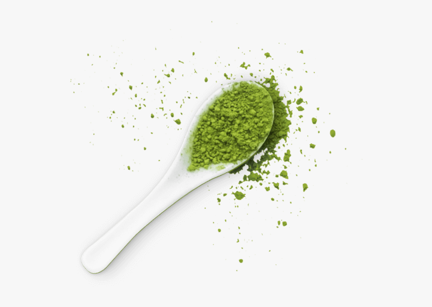 Plato Chic Superfood Home - Super Food Png, Transparent Png