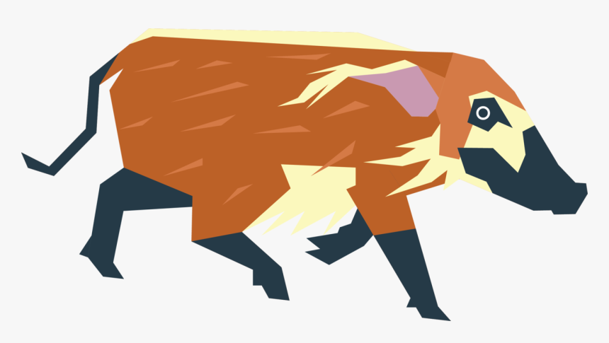 A Red River Hog I Saw Them For The First Time This - Red River Hog Png, Transparent Png