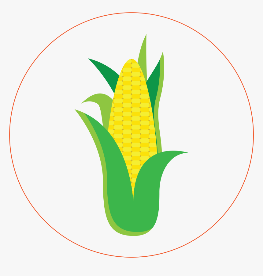 Corn - Sweet Corn, HD Png Download