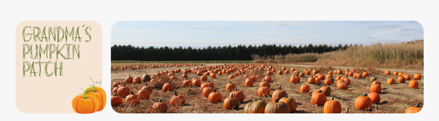 Pumpkin, HD Png Download