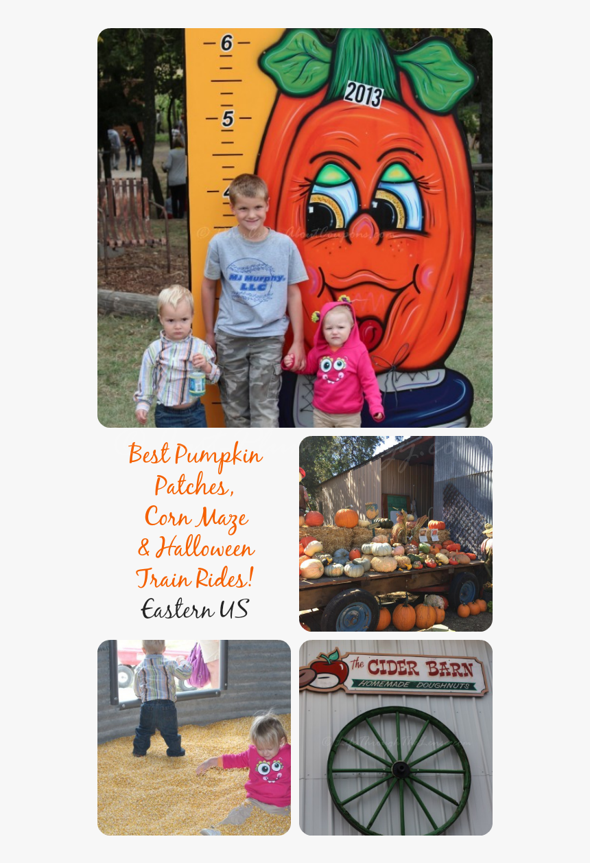 Here Is A List Of Some Of The Best Pumpkin Patches, - Toddler, HD Png Download