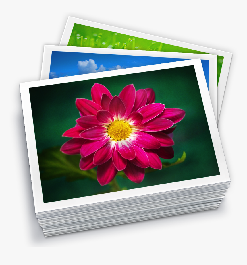 Apertureexpert 20120612001651 Library Icon - Iphoto Library, HD Png Download