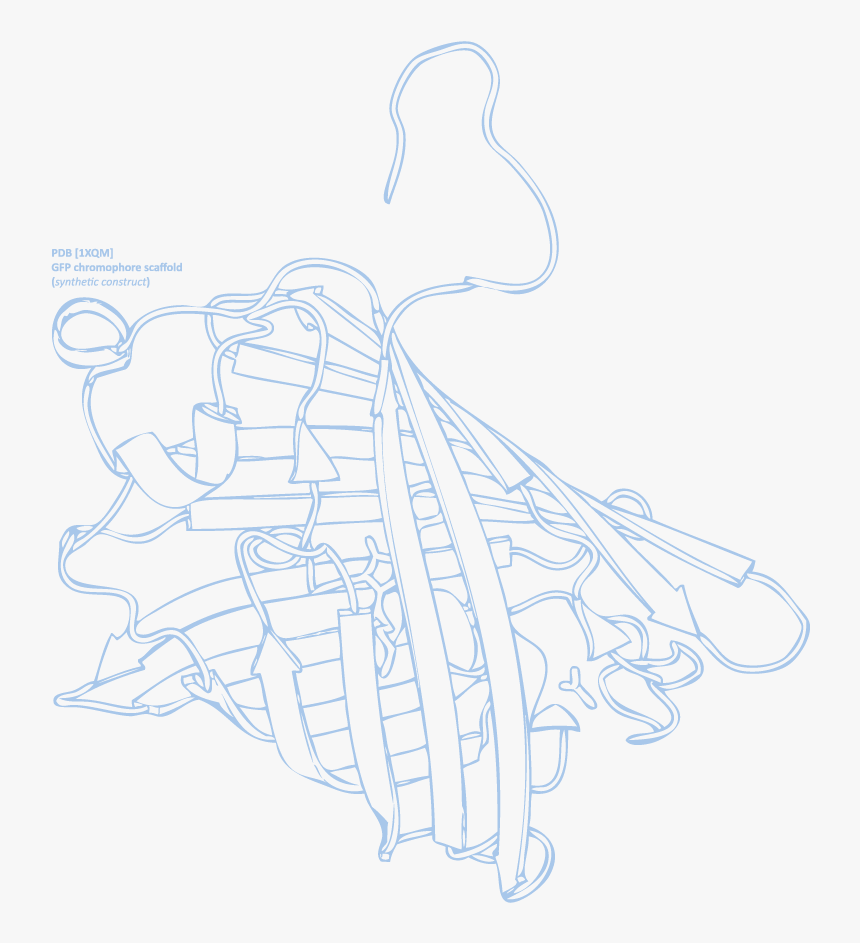 Sketch, HD Png Download