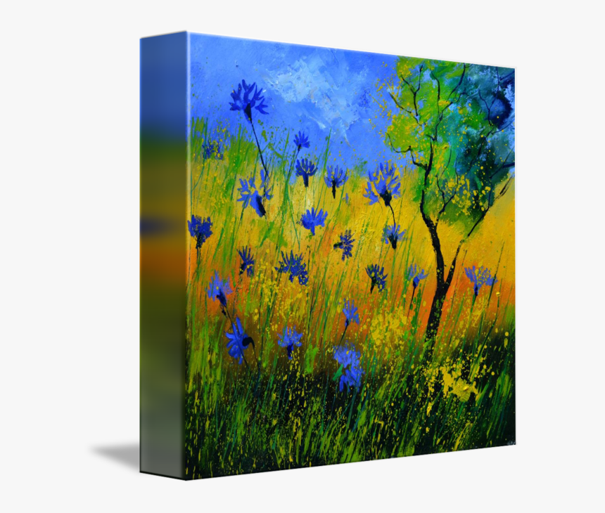 Cornflower Drawing Meadow Flower - Jasione Montana, HD Png Download