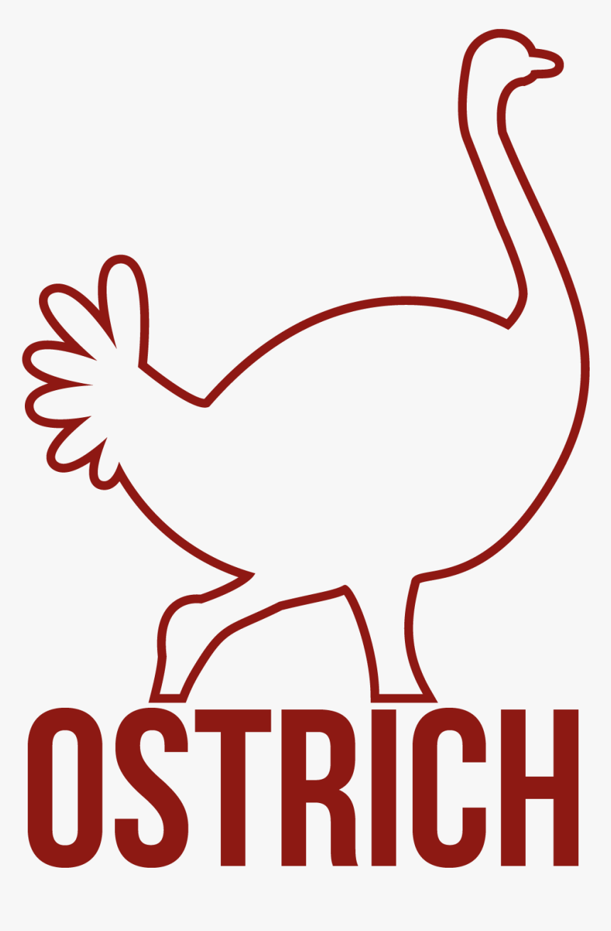 Transparent Ostrich Png - Water Bird, Png Download