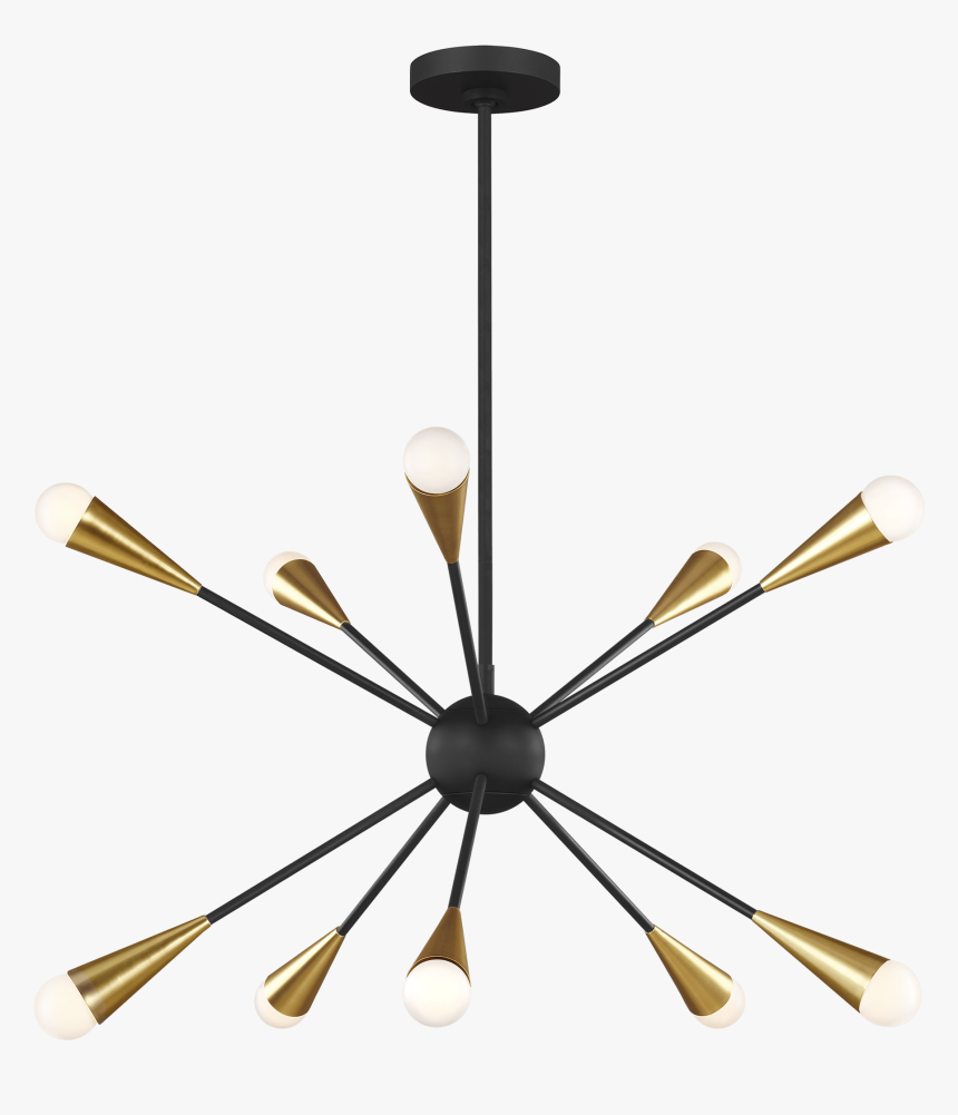 Jax Ellen Degeneres, HD Png Download