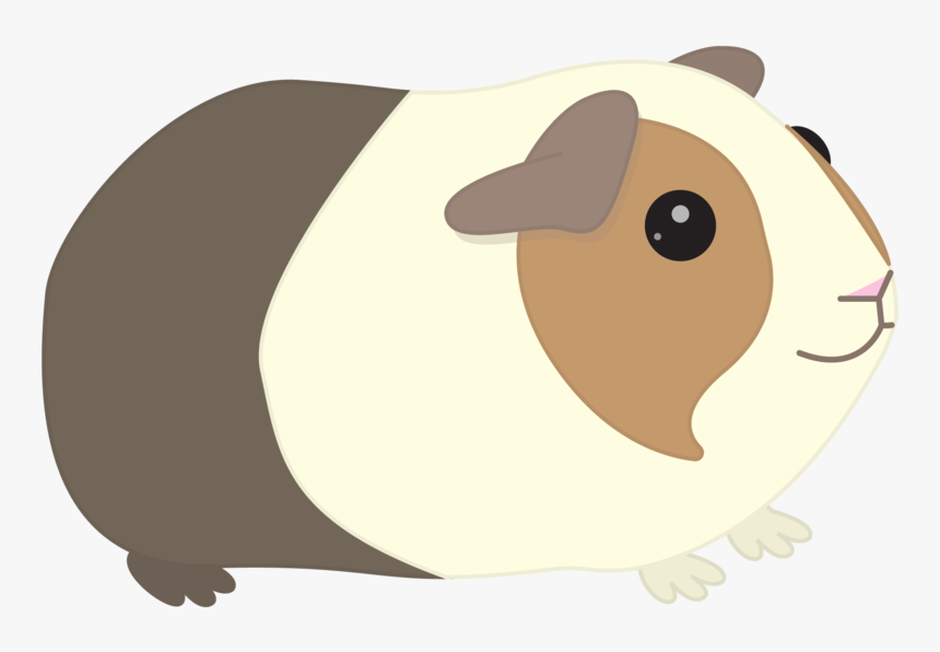 Transparent Contact Me Png - Guinea Pig Clipart Png, Png Download