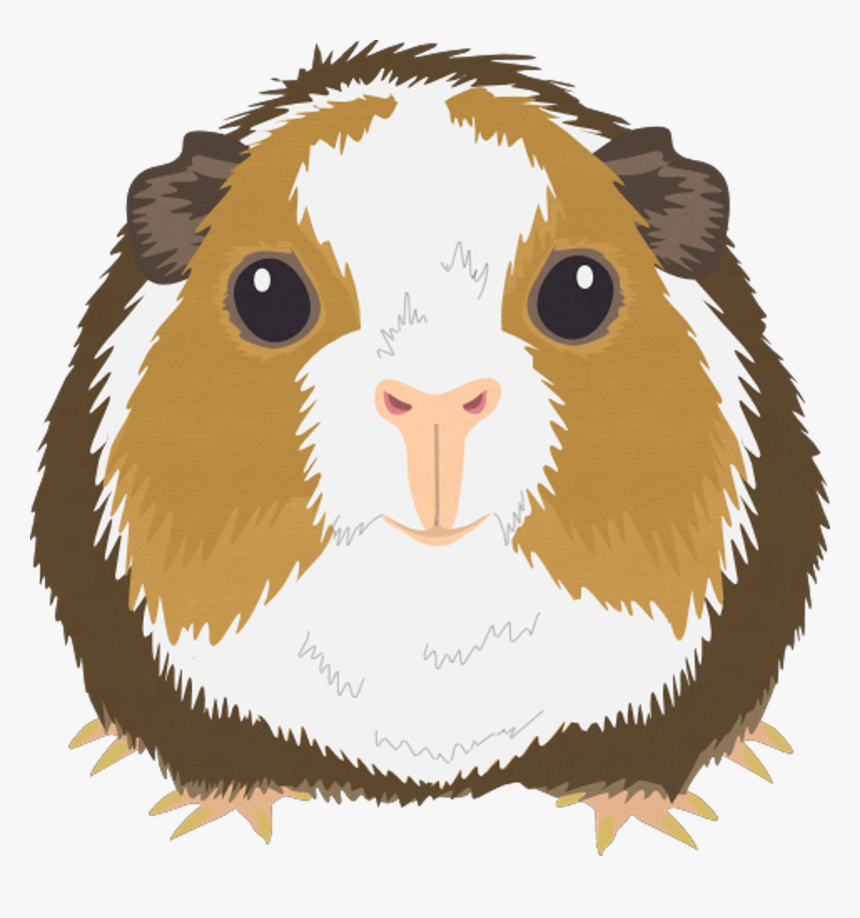 South Park Archives - South Park Craig Guinea Pig, HD Png Download
