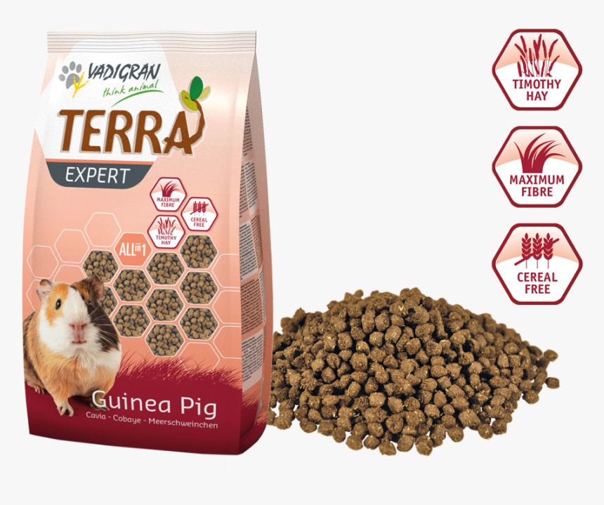 Vadigran Terra Expert Guinea Pig, HD Png Download