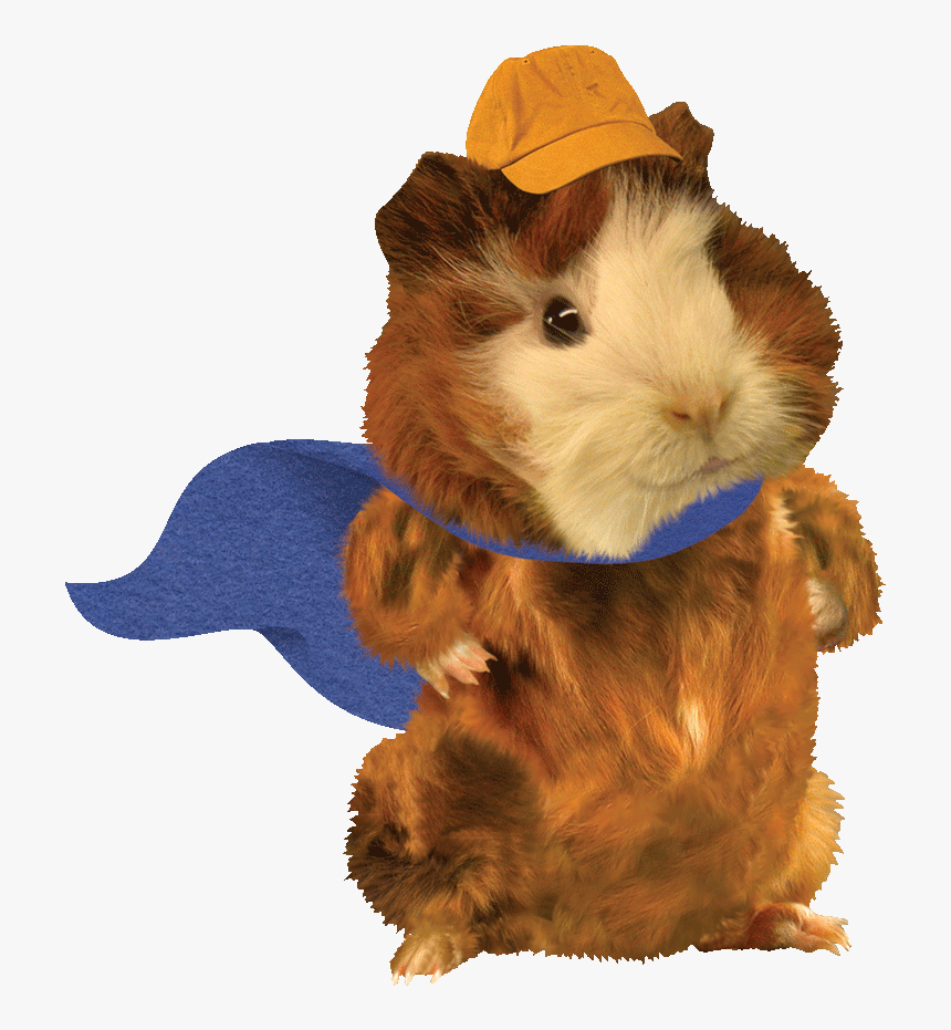 Wonder Pets What's Gonna Work Teamwork Gif, HD Png Download