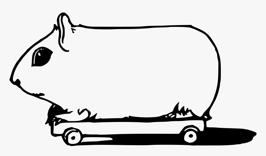 Line Art,area,monochrome Photography - Transparent Png Guinea Pig Black And White, Png Download