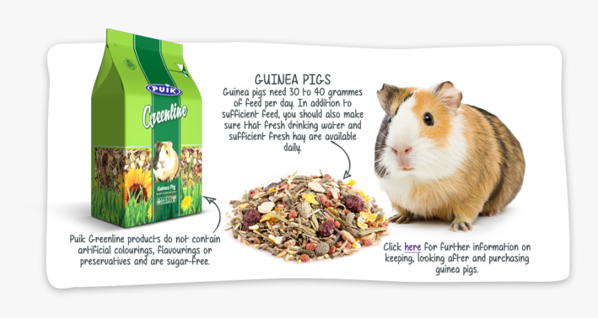 Hamster, HD Png Download