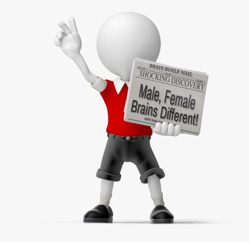 Male And Female Brain Differences - News, HD Png Download