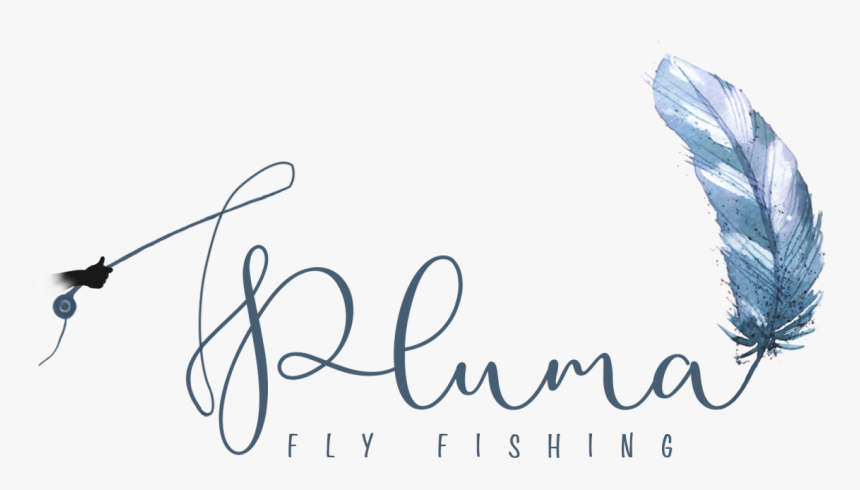 Title - Calligraphy, HD Png Download